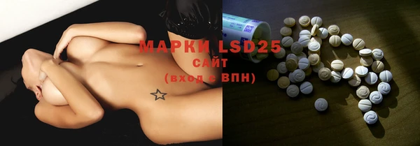 apvp Аркадак
