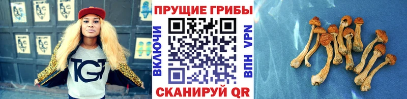 Псилоцибиновые грибы ЛСД  Цимлянск 